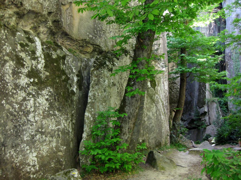 Les Callunes Anciennement Le Beausejour Annot Exterior photo